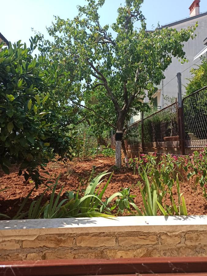 Adria Apartments Πούλα Εξωτερικό φωτογραφία